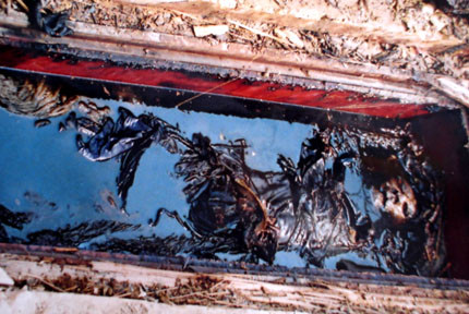 Mộ xác ướp với quan tài bằng ngọc am và tinh dầu ngọc am ở cánh đồng Nhật Tân.