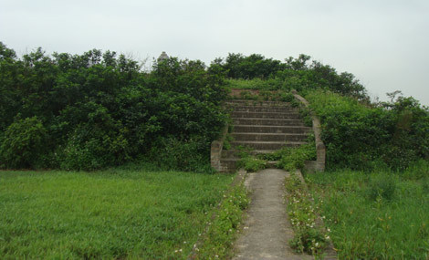 Gò đất giữa cánh đồng ở Nam Sách được cho là mộ tổ của họ Vũ có từ thời Bắc Thuộc (Ảnh: Phạm Ngọc Dương).