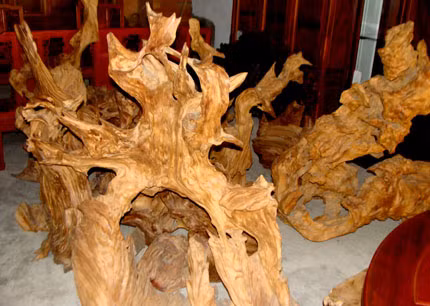 Một phần bộ sưu tập lũa ngọc am của anh Trần Đức Thuấn.