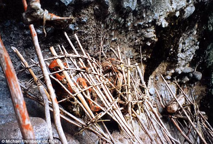 Những cái xác đỏ au dường như đang bị "cầm tù" trong các lồng tre để giữ cho chúng khỏi "nhảy xổ" vào bất cứ kẻ lạ mặt nào dám cả gan đến gần.