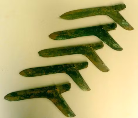 5 chiếc qua đồng Đông Sơn là đồ tùy táng.