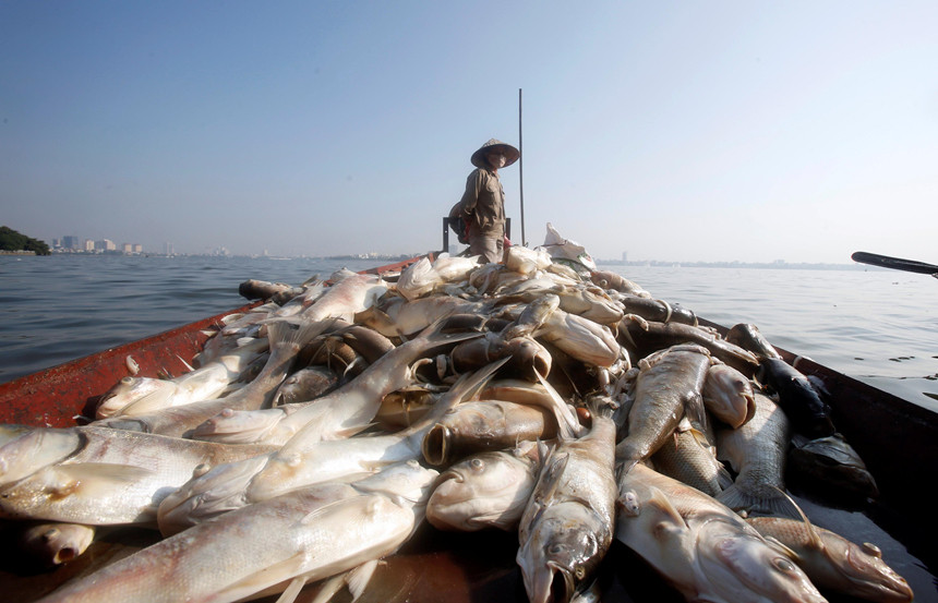 Hom nay, Viet Nam va EU ky Hiep dinh FTA day tham vong-Hinh-3