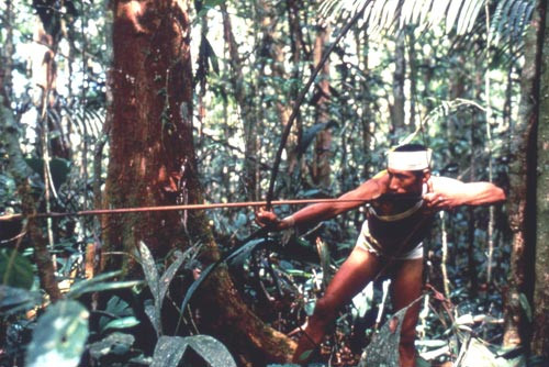 Sau một giấc ngủ dài và sâu, họ có thể đi săn trong một thời gian dài mà không đói hay kiệt sức, trở thành một chiến binh bất khả chiến bại.