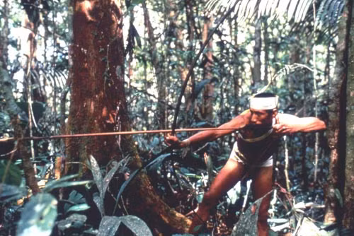 Sau một giấc ngủ dài và sâu, họ có thể đi săn trong một thời gian dài mà không đói hay kiệt sức, trở thành một chiến binh bất khả chiến bại.