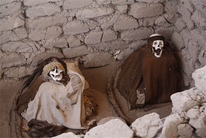 Các nhà khoa học cũng phát hiện dấu vết của cải trong các hầm mộ. Tuy nhiên, hầu hết các hầm mộ đã bị trộm xâm nhập lấy đi của cải.