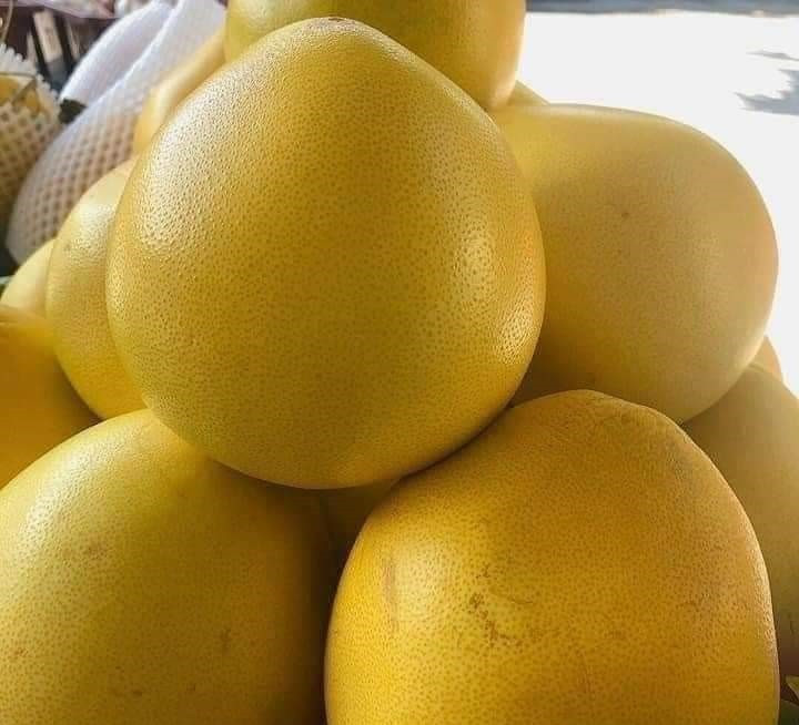 Buoi Trung Quoc vang ong, cang mong do bo cho Viet, re bat ngo