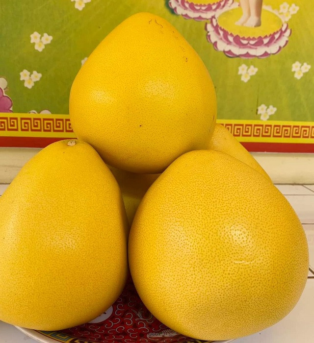 Buoi Trung Quoc vang ong, cang mong do bo cho Viet, re bat ngo-Hinh-2