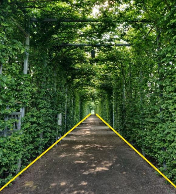 Cach chup anh bang dien thoai chat luong nhu nhiep anh gia-Hinh-9