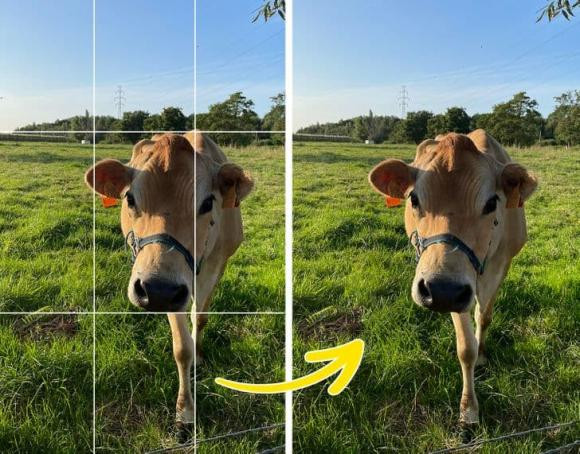 Cach chup anh bang dien thoai chat luong nhu nhiep anh gia-Hinh-6