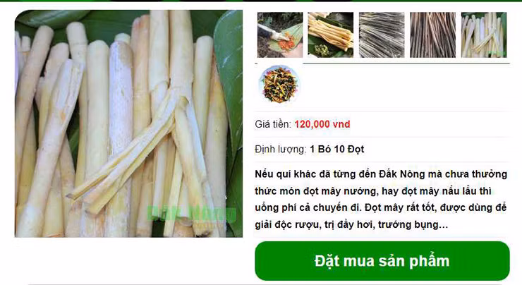 Trên các trang thương mại điện tử, đọt mây rừng được bán với giá 120.000 đồng/kg.