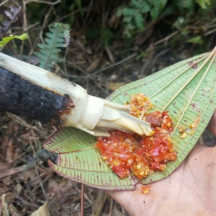 Đọt mây giòn, béo, có vị ngọt, hơi nhẩn đắng.