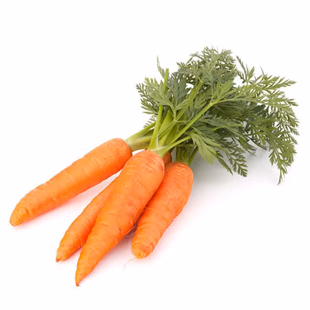 An 4 thu nay thuong xuyen rat tot cho la lach va da day