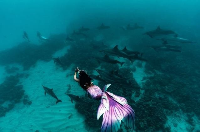 Nghề làm nàng tiên cá: Lương cao nhưng không được phép căng thẳng ảnh 4