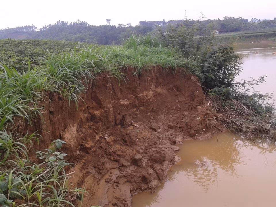 Khai thác cát làm sạt lở đất hoa màu của người dân Tề Lễ.