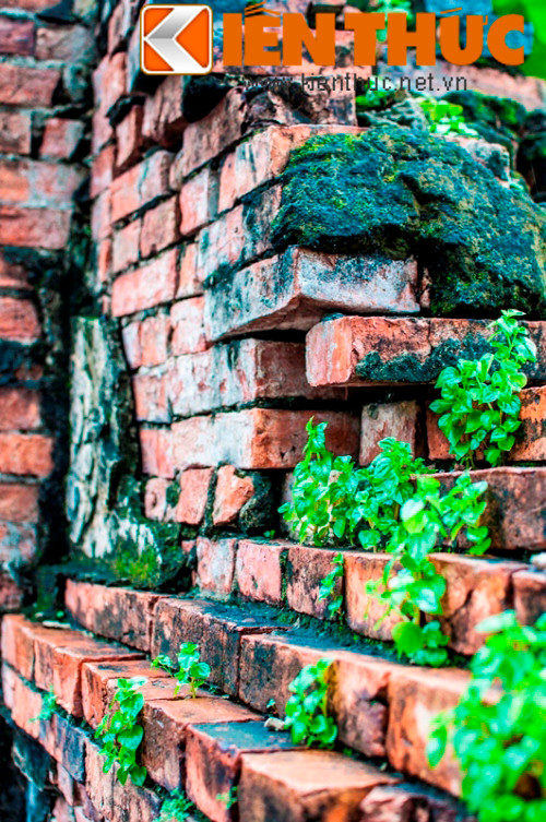 Ông sinh ở làng Hưng Lễ, tổng Bảo Phước, tỉnh Vĩnh Long (nay thuộc xã Thạnh Phú Đông, huyện Giồng Trôm, tỉnh Bến Tre). Thời trai trẻ, Trương Tấn Bửu đã nổi tiếng là người tuấn tú, có sức mạnh vô song, dám đương đầu với cọp. Lăng mộ của ông hiện tọa lạc tại số 41 Nguyễn Thị Huỳnh, phường 8, quận Phú Nhuận, thành phố Hồ Chí Minh.