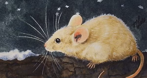 Chỉ cần người tuổi Tý không bỏ lỡ cơ hội, chắc chắn sẽ không phải lo lắng về tiền bạc trong thời gian dài. (Bài viết chỉ mang tính tham khảo, cung cấp nội dung trắc nghiệm vui cho bạn đọc).