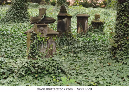 Về sau, dây thường xuân là biểu tượng về sống lâu và bò dài ra như tình yêu vĩnh cửu. Chính vì vậy, nhiều ngôi mộ của người La Mã, Hy Lạp và thậm chí những người Cơ-đốc giáo vẫn có dây thường xuân bám vào với thông điệp: Người chết đã ra đi, nhưng tình yêu của họ vẫn tiếp tục truyền cảm hứng cho người còn sống.