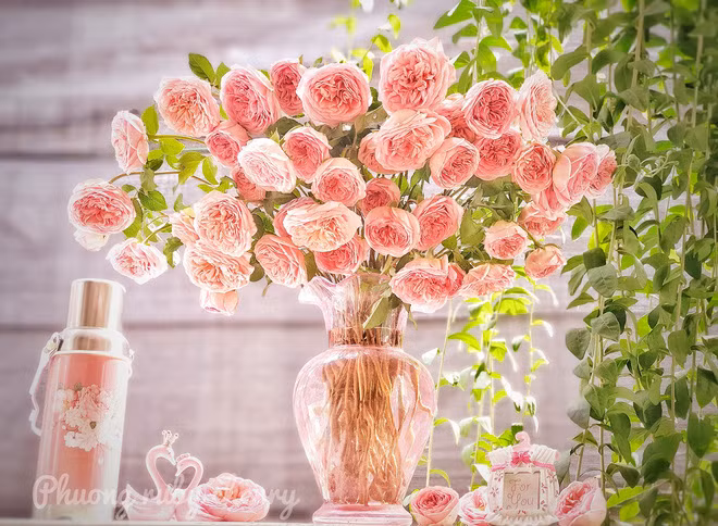 Càng về trung niên thì sự nghiệp của họ càng vượng phát, nhất định sẽ công thành danh toại, có được cuộc sống giàu sang. Đặc biệt, khi năm 2021 kết thúc cũng là lúc đánh dấu vận may mở cửa đón chào những người sinh tháng 12 âm lịch. Năm Nhâm Dần 2022 hứa hẹn là năm bùng nổ thực sự của bạn đấy. (Bài viết chỉ mang tính tham khảo, cung cấp nội dung trắc nghiệm vui cho bạn đọc).