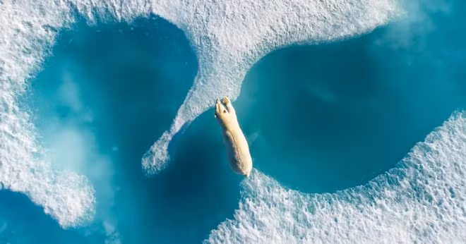 Chile hoặc Afghanistan nằm cao nhất hành tinh vì vậy họ có thể ít bị ảnh hưởng nhất. Trung Quốc cũng vậy.