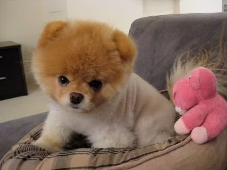 Tài vận: Tài vận phát đạt, có thể được tăng lương, không thích hợp đầu tư hạng mục mạo hiểm, chỉ nên mua bất động sản hoặc đồ vật giữ nguyên giá trị hoặc những dự án ít mạo hiểm.