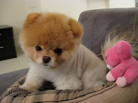 Tài vận: Tài vận phát đạt, có thể được tăng lương, không thích hợp đầu tư hạng mục mạo hiểm, chỉ nên mua bất động sản hoặc đồ vật giữ nguyên giá trị hoặc những dự án ít mạo hiểm.