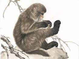 Có quý nhân dẫn đường chỉ lối nên sự nghiệp đi lên như diều gặp gió, tài vận hanh thông, tiền bạc ào ào chảy vào túi con giáp này. Người tuổi Thân đã không còn phải đau đầu vì tiền nữa. (Bài viết chỉ mang tính tham khảo, cung cấp nội dung trắc nghiệm vui cho bạn đọc).