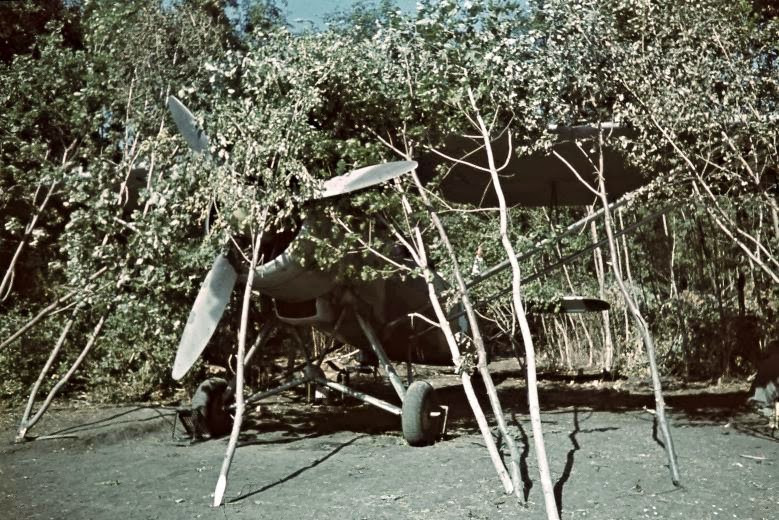 Máy bay chiến đấu được ngụy trang dưới lá cây.