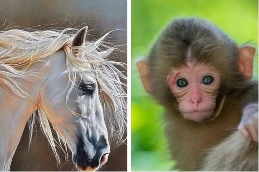  Tuổi Thân. Người tuổi Thân sẽ gặp nhiều may mắn trong tuần này. Nhờ có Thiên Ấn và Chính Ấn chiếu mệnh nên Thân có cơ hội gặp quý nhân, được cấp trên nâng đỡ, công việc tiến triển thuận lợi. 