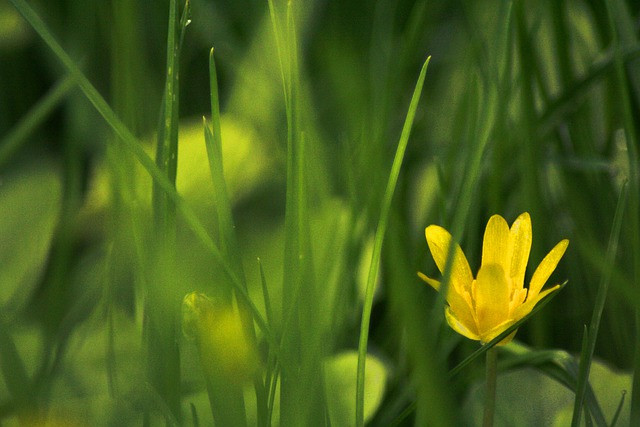 Nguoi sinh thang Am nay duoc long nguoi, kiem tien thuan tay