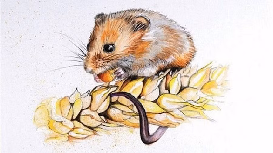 Với những người chưa kết hôn, bản mệnh nên xem xét lại thái độ của mình đối với tình yêu, với đối phương, không nên đứng núi này, trông núi nọ. 