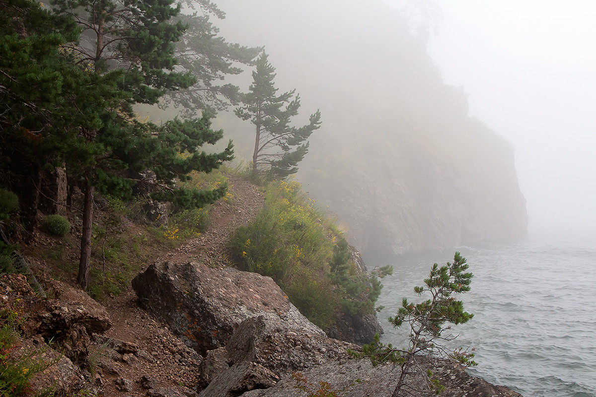 Được bao quanh bới những khu rừng nguyên sinh rộng lớn, khu vực hồ Baikal có sự đa dạng sinh học rất cao. Đây là nơi sinh sống của hơn 1.000 loài thực vật và 2.500 loài động vật, trong đó 80% động vật là loài đặc hữu. Ảnh: Behance.