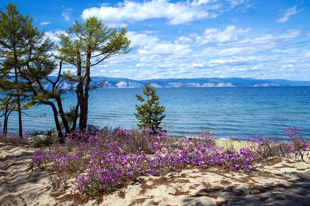 Dù xét về diện tích bề mặt, Baikal chỉ hồ nước lớn thứ bảy trên thế giới, nhưng lượng nước mà hồ “không đáy” này chứa đựng còn nhiều hơn cả năm hồ nước của Ngũ Đại Hồ cộng lại. Ảnh: Primavera-spb.ru.