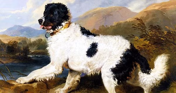 Chính vì thế đây là giai đoạn người tuổi Tuất nên mạnh dạn đầu tư, thực hiện kế hoạch đã định nhé! 