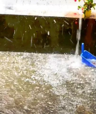 Mua da lon chua tung co o Da Lat