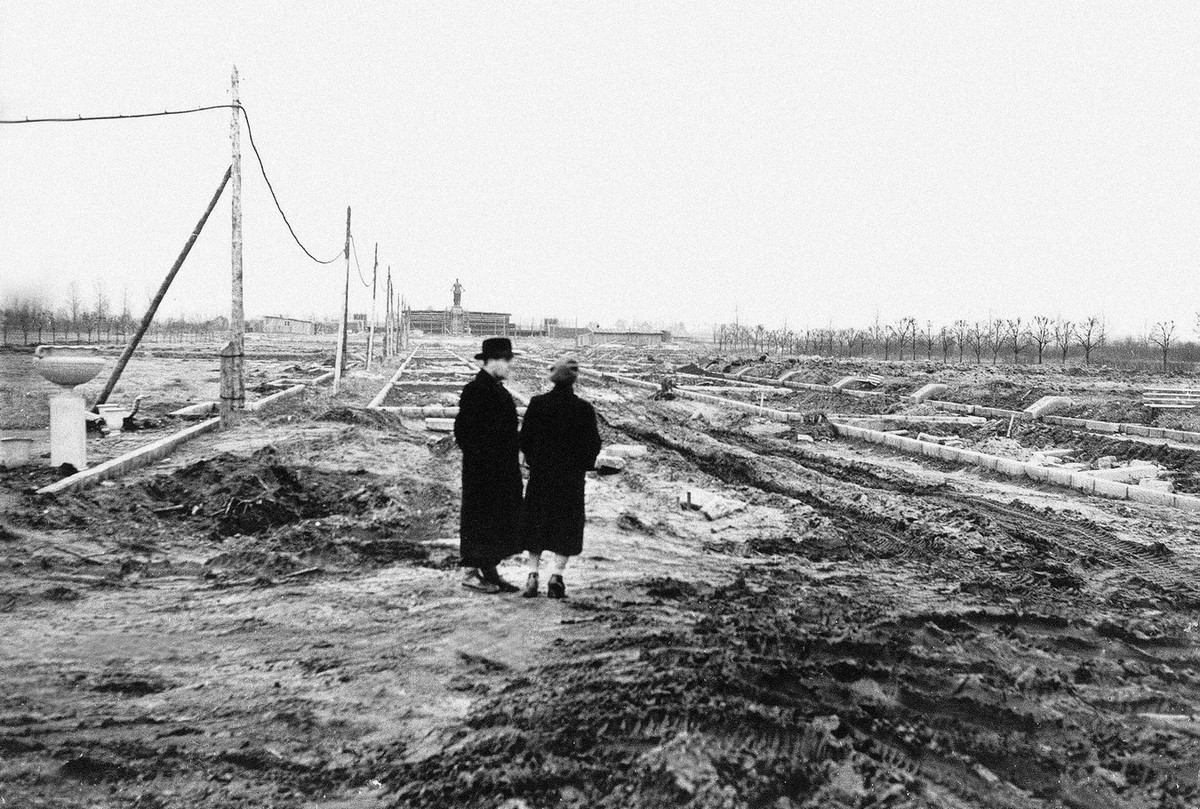 Sau khi cuộc Chiến tranh Vệ quốc Vĩ đại kết thúc, một cuộc thi thiết kế khu tưởng niệm đã được tổ chức. Đồ án của KTS Alexander Vasiliev và Yevgeniy Levinson đã được chọn. Công trình khai trương vào ngày 9/5/1960, nhân kỷ niệm 15 năm chiến thắng vĩ đại của Liên Xô.