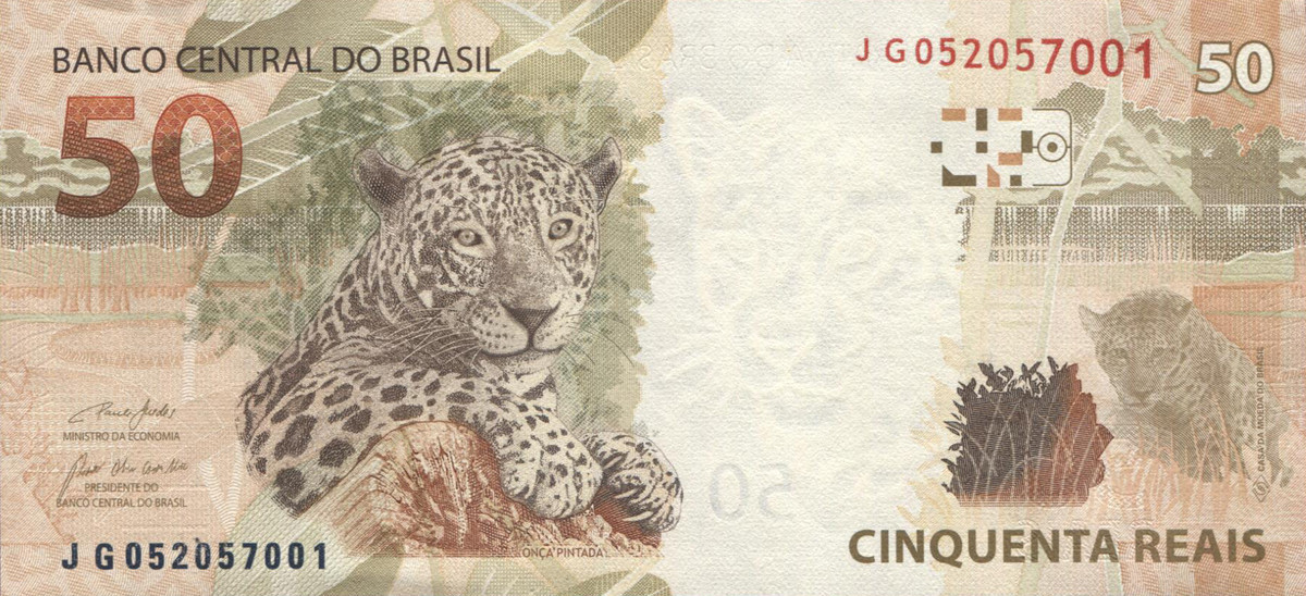 Vào thời hiện đại, báo đốm và cùng tên gọi của nó (Jaguar) được sử dụng rộng rãi như một biểu tượng văn hóa đại chúng. Loài mèo lớn này là động vật quốc gia của Guyana, hiện diện trong quốc huy của đất nước này. Ngoài ra chúng cũng xuất hiện trong tiền giấy của Brasil.