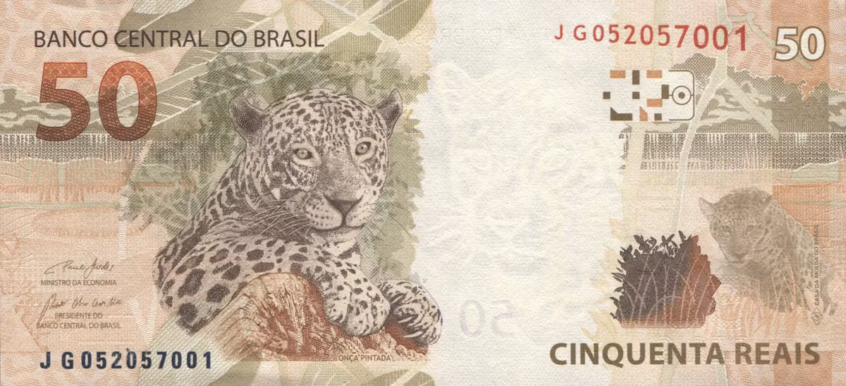 Vào thời hiện đại, báo đốm và cùng tên gọi của nó (Jaguar) được sử dụng rộng rãi như một biểu tượng văn hóa đại chúng. Loài mèo lớn này là động vật quốc gia của Guyana, hiện diện trong quốc huy của đất nước này. Ngoài ra chúng cũng xuất hiện trong tiền giấy của Brasil.