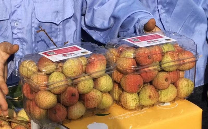 Vai thieu 200 nghin/kg: Hang xuat Nhat, khach noi hiem duoc an-Hinh-2