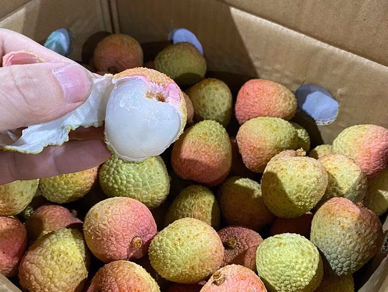 Vai thieu 200 nghin/kg: Hang xuat Nhat, khach noi hiem duoc an-Hinh-4