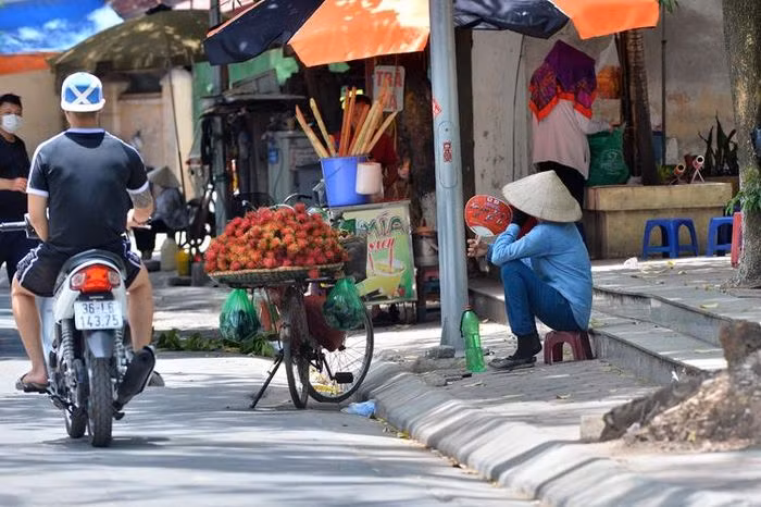 Ha Noi: Nhiet do ngoai troi 50 do C, nguoi lao dong van muot mai muu sinh-Hinh-7