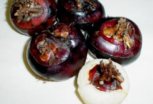 Mã thầy. Mã thầy rất công hiệu trong việc thanh nhiệt phổi và giải độc. Vị thanh mát, nhiều nước khiến mã thầy vừa có thể làm món ăn trong bữa cơm, vừa có thể trở thành nguyên liệu cho các món ngọt.