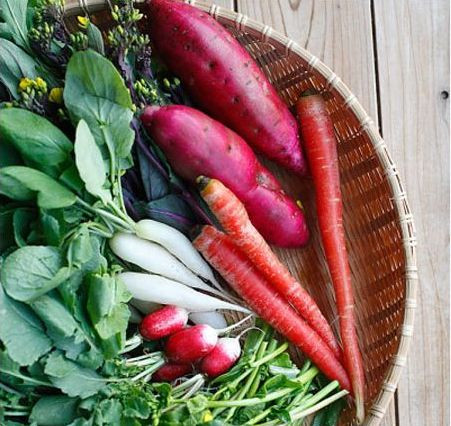 Cần kết hợp chế độ ăn uống và sinh hoạt để đạt được hữu hiệu tốt nhất. Không nên áp dụng nhiều biện pháp bổ sung collagen cùng lúc để tránh tình trạng bị trùng lặp hoạt chất.