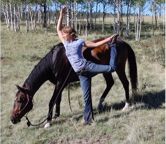 Yoga tốt cho cả con người và ngựa. Ngựa cũng có những vẫn đề về sức khỏe như con người vậy. Căng cơ và biết cảm nhận cơ thể sẽ giúp chúng ta giảm thương tổn và tăng cường sự dẻo dai trong mọi hoạt động