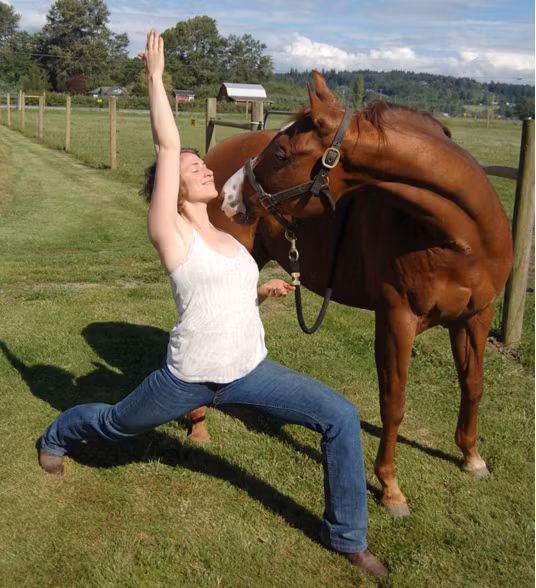 Sự phối hợp tinh tế và nhuần nhuyễn giữa người và ngựa trong cả những động tác yoga khó nhằn.