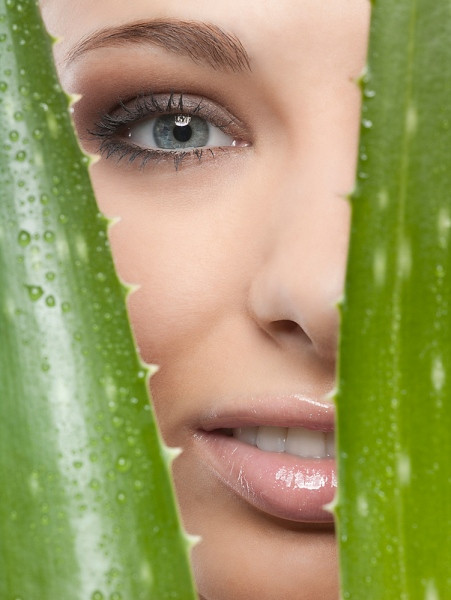 Làm đẹp lông mi. Để lông mi dày hơn và dài hơn, một số chị em đã áp dụng thoa một số lượng rất nhỏ của gel lô hội vào lông mi trước khi đi ngủ ban đêm.