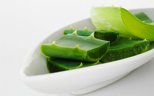 Dưỡng ẩm. Như đã đề cập rất nhiều ở trên, trong lô hội có chứa rất nhiều chất làm ẩm, vậy nên chẳng có gì lạ khi bạn sử dụng chúng như một loại gel dưỡng ẩm thiên nhiên cho mặt và cơ thể. Trong thực tế, đây là một trong những công dụng được yêu thích nhất của lô hội bởi chúng hầu như hợp với mọi loại da, lại không có sự tác động của hóa chất vậy nên nó rất được các chị em tin tưởng sử dụng.