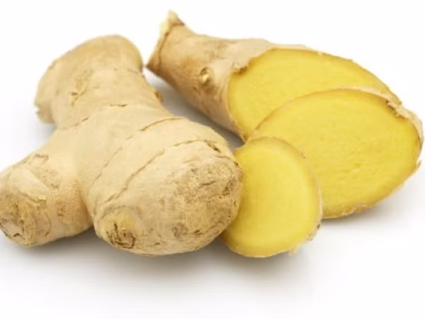 Gừng giảm cân. Chất gingerol và shogaol có trong gừng giúp thúc đẩy sự phân hủy chất béo diễn ra nhanh hơn và hoạt động như một chất ức chế chất béo tự nhiên. Chất gingerol có tác dụng làm tăng độ pH của dạ dày, giảm lượng cholesterol trong cơ thể, giảm béo và giảm mỡ bụng hiệu quả. Gừng là một chất có tính nóng nên khi tiếp xúc với da sẽ tạo ra nhiệt lượng. Nhiệt lượng này sinh ra làm tăng phân huỷ mỡ, giúp cơ thể tiêu hao mỡ thừa.