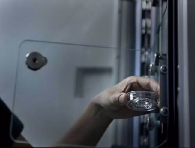 Các phôi chất lượng phù hợp không được sử dụng hết có thể được trữ đông để sử dụng trong tương lai của bạn.