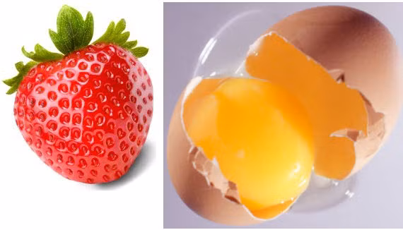 Mặt nạ từ dâu tây và lòng trắng trứng gà. Đây là loại mặt nạ cực kỳ tốt dành cho làn da dầu. Bạn hãy xay nhuyễn dâu tây tươi và trộn nó với một thìa cà phê nước cốt chanh, ba thìa cà phê mật ong. Sau khi hoàn thiện công đoạn 1, bạn tiếp tục cho 2 lòng trắng trứng gà vào hỗn hợp trên và trộn đều. Rửa mặt thật sạch trước khi đắp hỗn hợp này và để mặt nạ trong vòng 10 phút, sau đó rửa sạch bằng nước ấm.