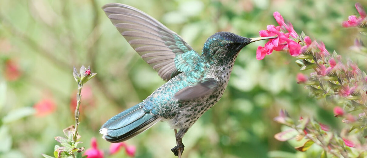 Nguoi sinh ngay Am lich nay dua vao thuc luc cua minh de thanh cong